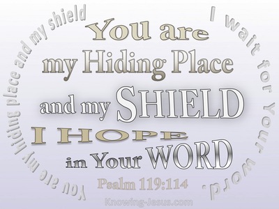 Psalm 119:114 Your Are My Hiding Place (white)